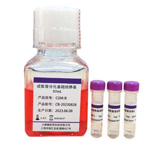 chondrogenesis differentiation medium