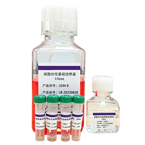chondrogenesis differentiation medium