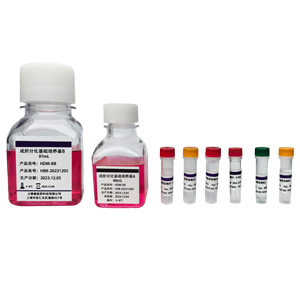hepatogenesis differentiation medium