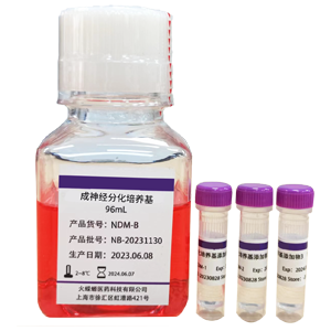neurogenesis differentiation medium