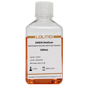 basal cell culture medium